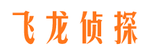 宣恩调查公司